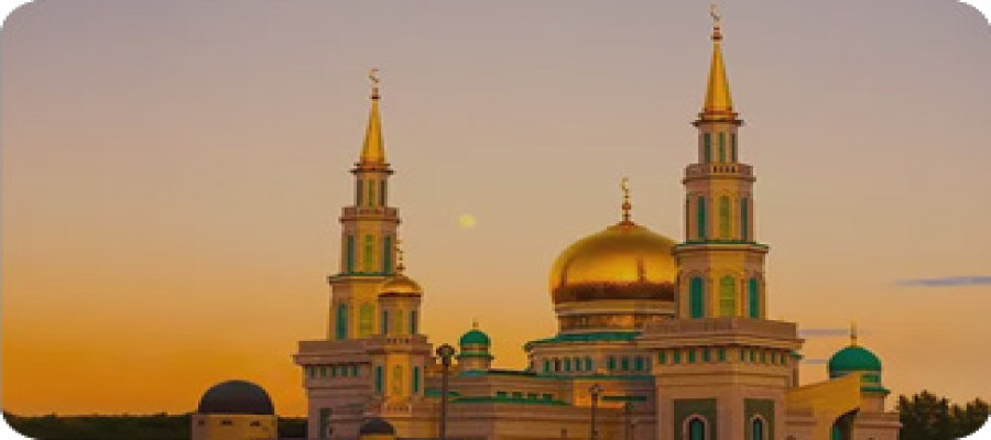 به آستان بوسی علی اکبر علیه السلام